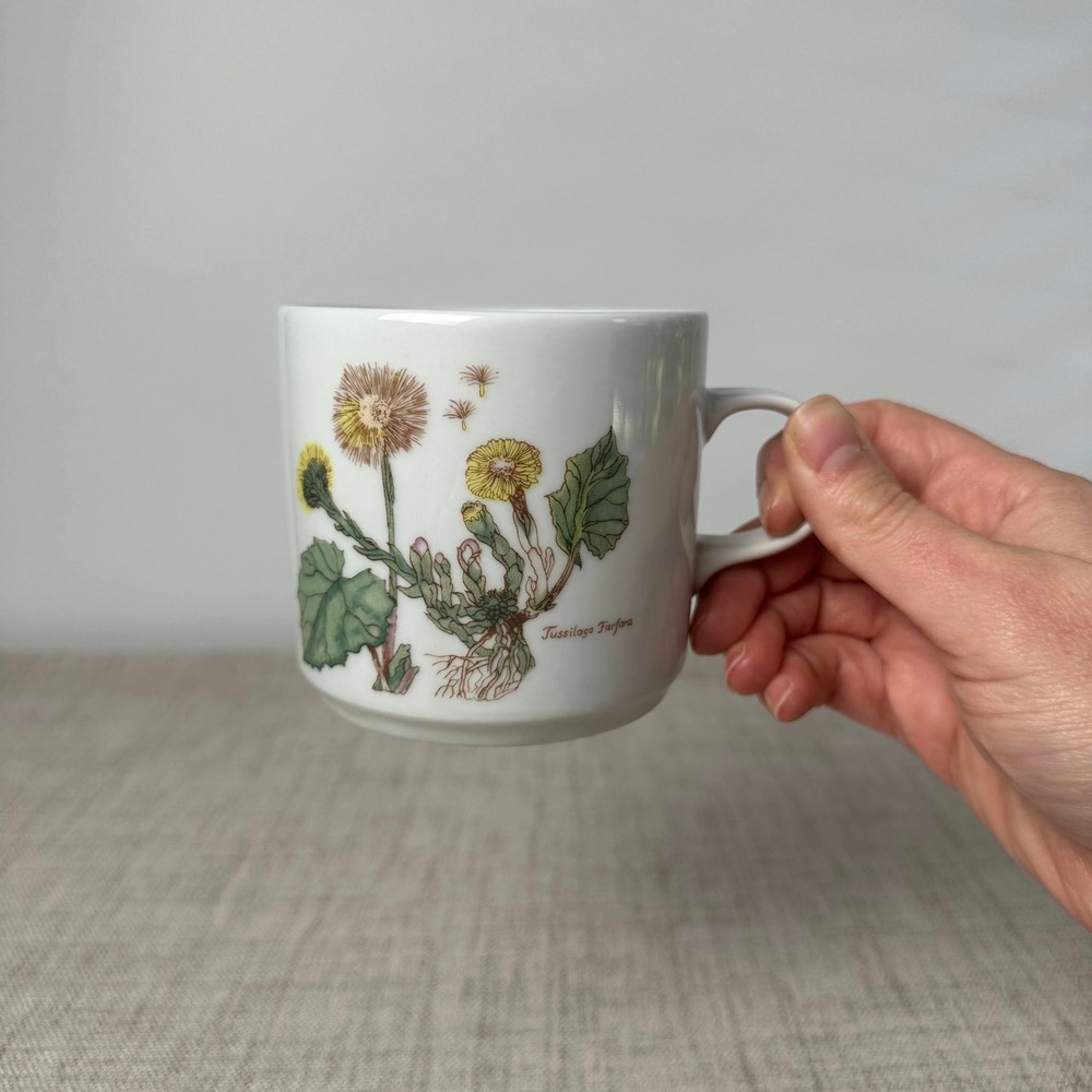 Vintage Alfoldi Porcelan Hungary Botanical Mug Tussilago Farfara Coltsfoot